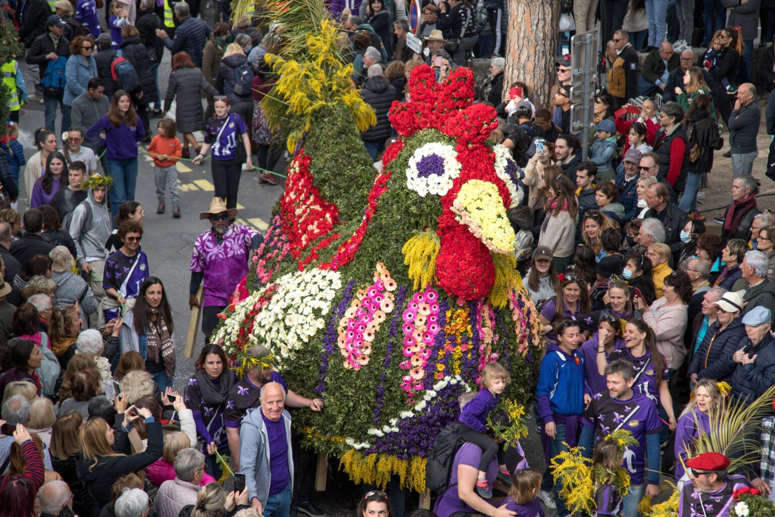 Char poule décoré de fleurs au corso de la Fête des Violettes